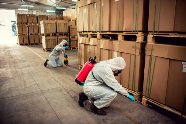 Best Ant Control Services  in Oconomowoc, WI