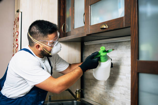 Best Pest Control for Restaurants  in Oconomowoc, WI