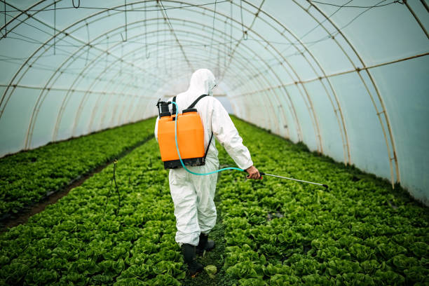 Best Affordable Pest Control Services  in Oconomowoc, WI