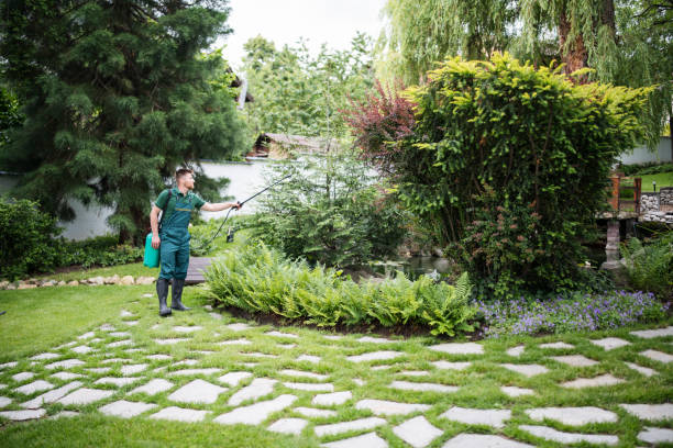 Best Emergency Pest Control  in Oconomowoc, WI