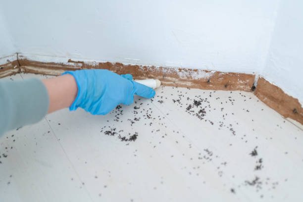 Trusted Oconomowoc, WI Pest Control Experts